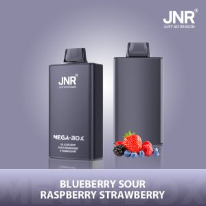 JNR Mega Box 25000 – Vape Blueberry Sour Raspberry Strawberry