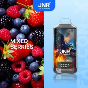 JNR Falcon-X 18000 Mixed Berries – Vape Jetable Saveur Fruits Rouges