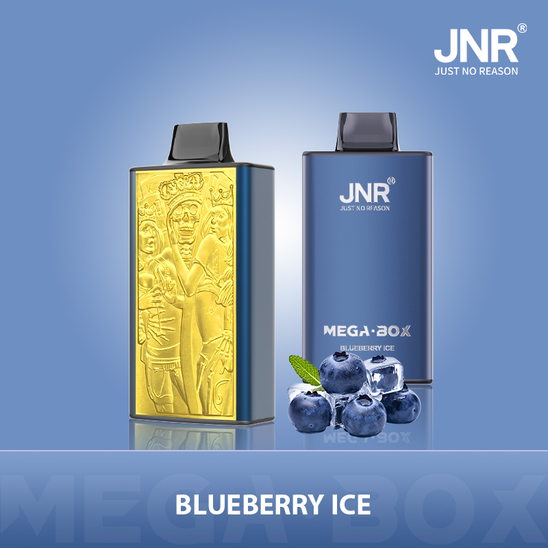 JNR Mega Box 25000 Blueberry Ice Vape – Blueberry Ice Flavor