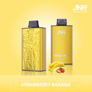 JNR Mega Box 25000 Strawberry Banana Vape Rechargeable 25 000 puffs
