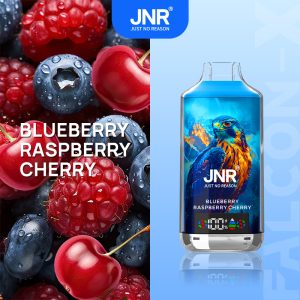 Blueberry Raspberry Cherry JNR Falcon-X 18000 Goût complexe et opulent