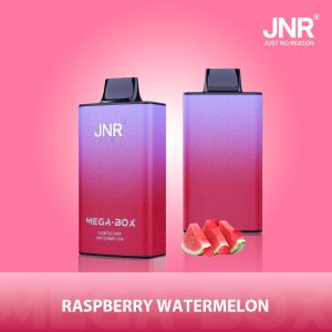 JNR Mega Box 25000 Raspberry Watermelon – Vape Rechargeable 25 000 Puffs