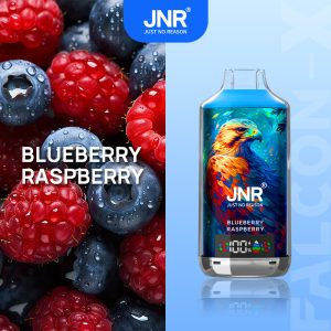 JNR Falcon-X 18000 Blueberry Raspberry Vape Fruitée 18000 Bouffées