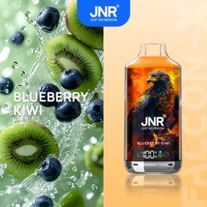 JNR Falcon-X 18000 Blueberry Kiwi Vape Fruitée & Rechargeable