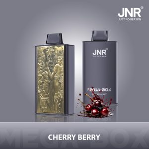 Cherry Berry JNR Mega Box 25000 – Vape fruits rouges intense