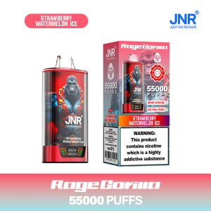 Strawberry Watermelon Ice JNR RageGorilla 55000 Puff Vape Ultra Longue Durée
