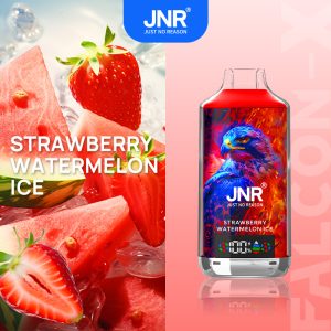 Strawberry Watermelon Ice JNR Falcon‑X 18000 Vape Jetable Saveurs Fruitées