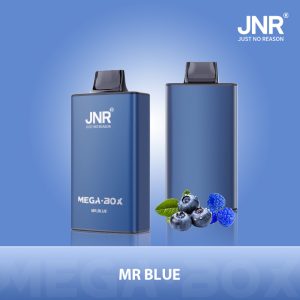 JNR Mega Box 25000 Mr. Blue – Vape Jetable Saveur Baies Intenses