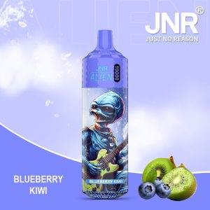 JNR ALIEN 10000 Vape Blueberry Kiwi - Saveur Fruité Intense