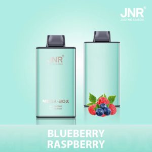 JNR Mega Box 25000 Blueberry Raspberry Vape – Saveur Baies Intense