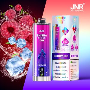 JNR SHISHA MAX 22000 Berry Ice Vape Jetable – Saveur Baies Glacées