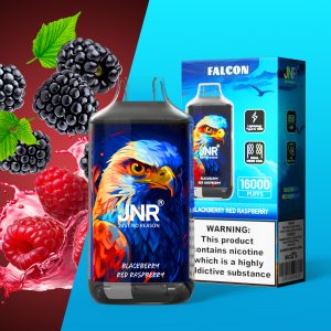 JNR Falcon 16000 Blackberry Red Raspberry Vape Fruité et Puissant