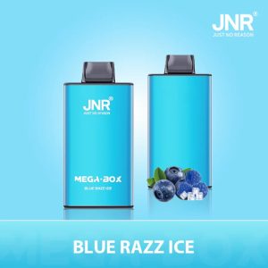 Blue Razz Ice JNR Mega Box 25000 Vape Rechargeable Goût Glacial