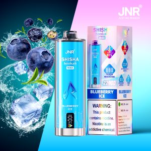 JNR SHISHA MAX 22000 Blueberry Ice Vape - Saveur Myrtille Glacée