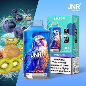 JNR Falcon 16000 Blueberry Kiwi Vape Jetable Saveur Fruitée