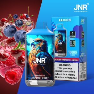 JNR Falcon 16000 Blueberry Raspberry Cherry Vape Saveur Fruits Rouges