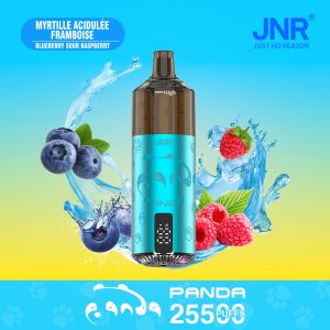 JNR PANDA 25500 Blueberry Sour Raspberry – Vape Rechargeable Fruité