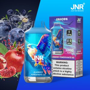 JNR Falcon 16000 Blueberry Pomegranate Ice Vape Jetable Goût Fruité Glacé