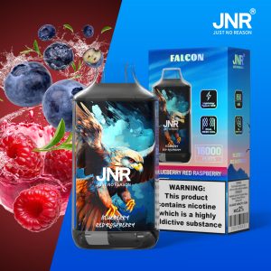 Blueberry Red Raspberry JNR Falcon 16000 Vape Saveur Fruité Équilibrée