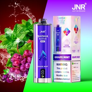 JNR SHISHA MAX 22000 Grape Mint Vape Jetable Fruitée & Mentholée