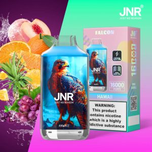 JNR Falcon 16000 Hawaii Vape – Saveur Tropicale Exotique & Longue Durée