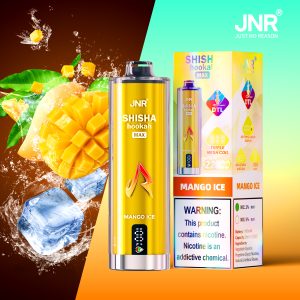 JNR SHISHA MAX 22000 Mango Ice Vape – Saveur Mangue & Fraîcheur Mentholée