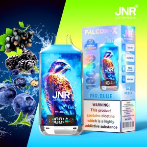 Mr. Blue JNR Falcon-X 18000 Vape – Saveur Fruits Noirs Intensément Fruité