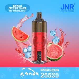 JNR PANDA 25500 New Watermelon Ice Vape Rechargeable Pastèque Fraîche