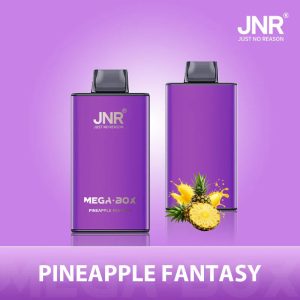 Pineapple Fantasy JNR Mega Box 25000 Vape Ananas Tropical