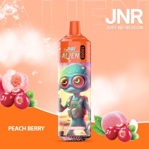 Peach Berry JNR ALIEN 10000 Vape Rechargeable – Saveur Fruité Intense