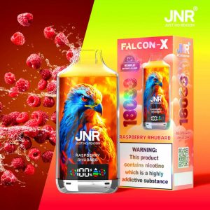 JNR Falcon-X 18000 Raspberry Rhubarb Vape Jetable Saveur Fruitée