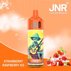 Strawberry Raspberry Ice JNR ALIEN 10000 Vape Saveur Glacée