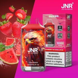 JNR Falcon 16000 Strawberry Watermelon Ice – Vape Fruitée & Fraîche