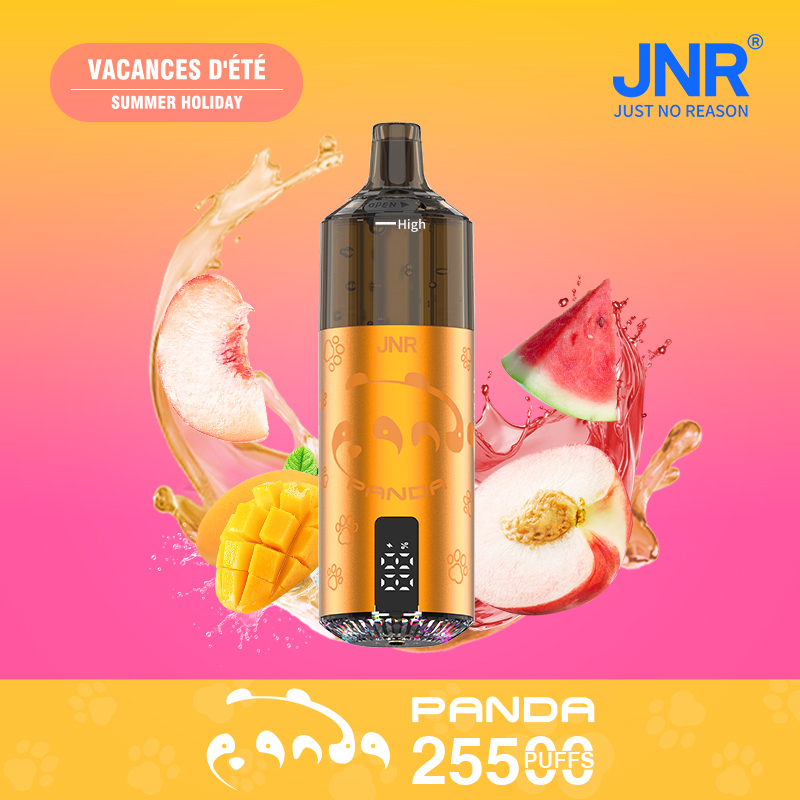 JNR Panda 25500 Summer Holiday Vape Rechargeable Saveur Tropicale