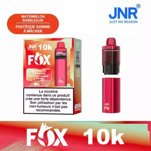 Watermelon Bubble Gum JNR FOX 10000 – Saveur Fruitée & Régressive