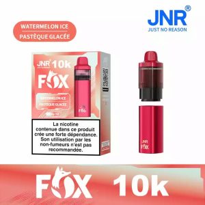Watermelon Ice JNR FOX 10000 Vape Rechargeable Saveur Pastèque Glacée