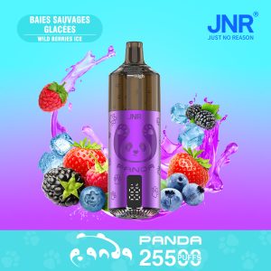 JNR PANDA 25500 Wild Berries Ice Vape – Saveur de Baies Sauvages Fraîches